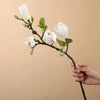 Silk Magnolia Bouquet