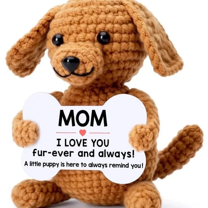 Handmade Crochet Pocket Hug Doll with Custom Message
