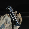 10-Hole Diatonic Harmonica in C with Protective Case