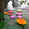 Pink and orange lotus flowers floating on water with a stone waterfall background