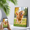 Eine Person hält ein Smartphone mit einem personalisierten Foto eines glücklichen Golden Retrievers, der auf einem Feld rennt