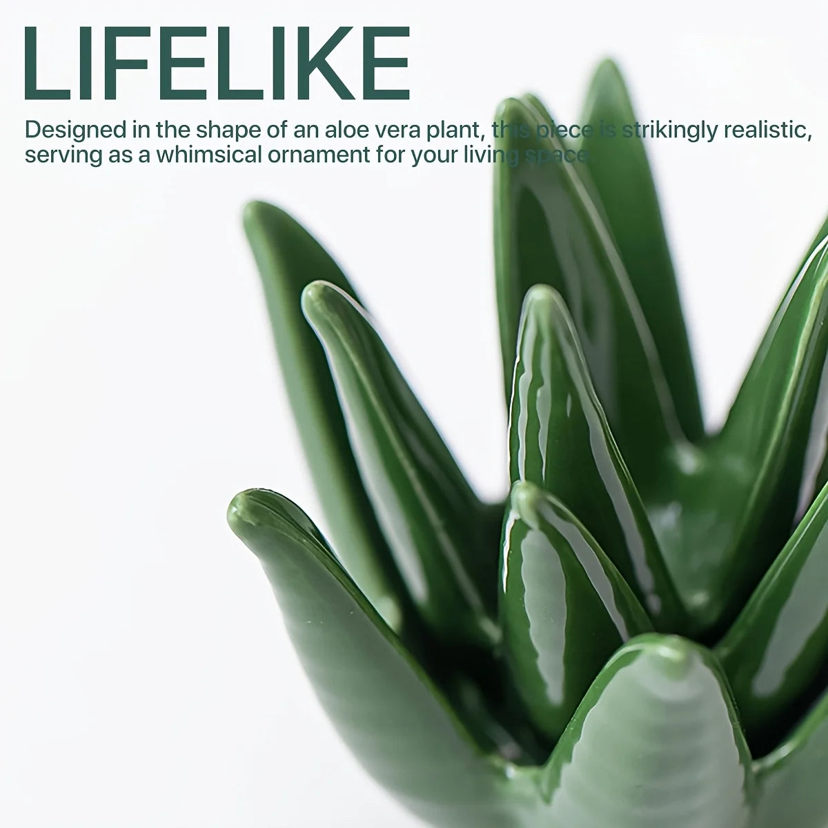 Ceramic Aloe Vera Jewelry Organizer with Ring Holder