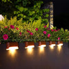 Solar powered LED step lights illuminating a garden border and flowers at night