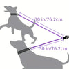 Dual Dog Leash with 360° Swivel Tangle-Free Design