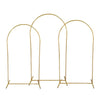 Elegant Gold Balloon Arch Frame & Backdrop Stand