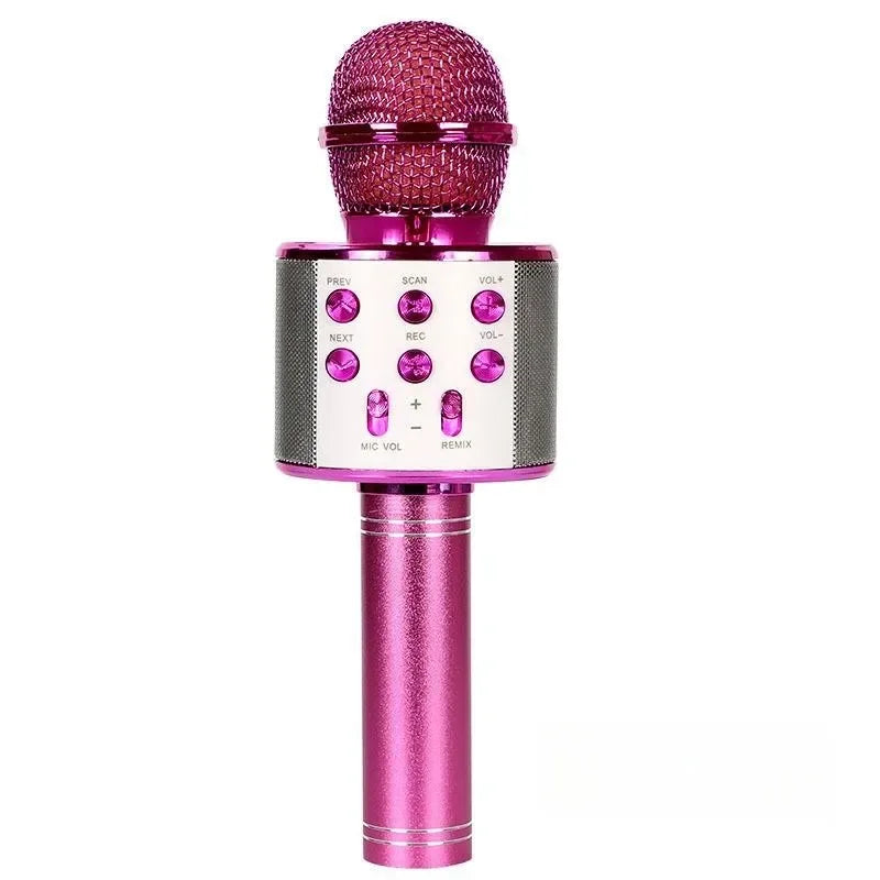 Portable Bluetooth Karaoke Microphone & Speaker