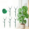 Stackable Monstera Plant Support Poles with Ties