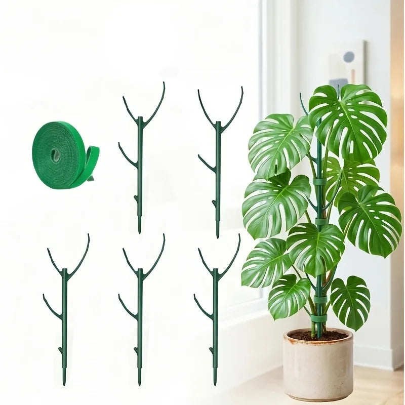 Stackable Monstera Plant Support Poles with Ties