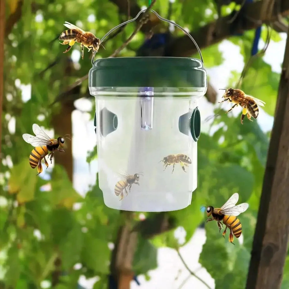 A clear plastic insect trap with a green lid hangs from a tree branch, attracting bees and other insects.