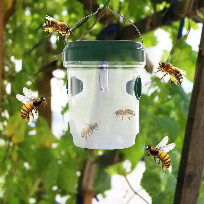 Solar-Powered Insect Trap with UV Light