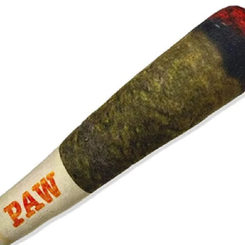 Squeaky Cigar-Shaped Plush Dog Toy