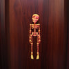 A detailed, orange-toned poseable skull figure mounted on a dark wood surface.