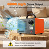 High-Capacity Ozone Air Purifier with Timer