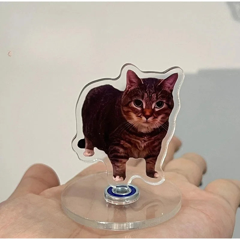 A small, dark brown tabby cat figure is displayed on a clear acrylic dashboard ornament.