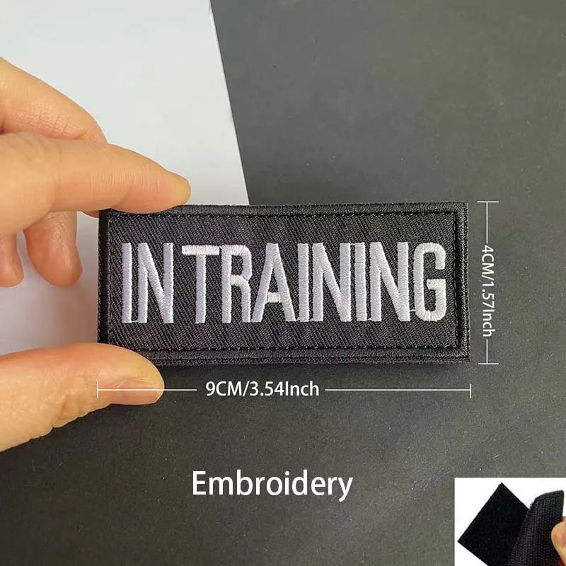Black embroidered patch with the text IN TRAINING on a white background