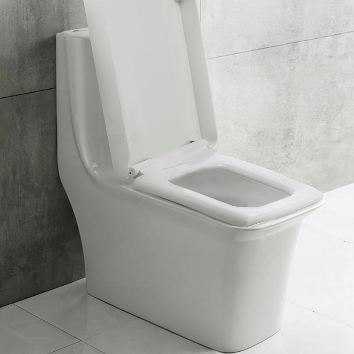 Soft-Closing Toilet Seat with Anti-Bacterial Lid
