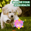 Interactive Auto-Bouncing Dog Ball with Lights & Sound