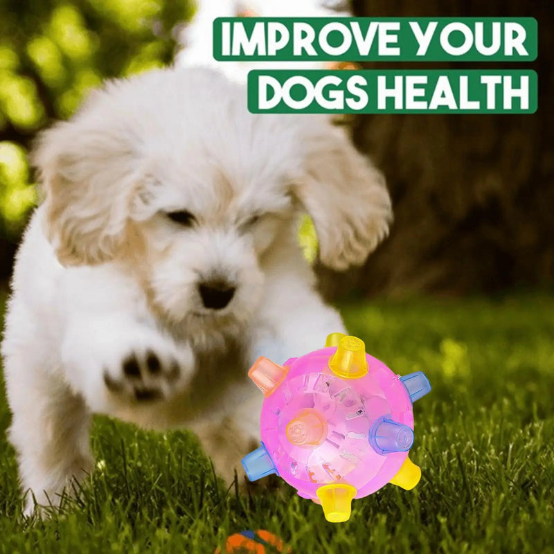 Interactive Auto-Bouncing Dog Ball with Lights & Sound