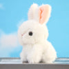 A fluffy white plush bunny toy with pink inner ears sitting on a surface against a light blue sky background.