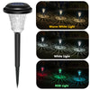 Solar-Powered LED Pathway Lights