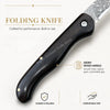 Damascus Steel Folding Pocket Knife with Ebony Handle