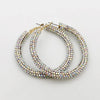 Rainbow Crystal Hoop Earrings