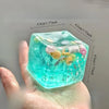 Ocean Shell Ice Cube Squishy Stress Ball