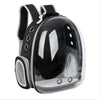 Transparent Pet Backpack Carrier with Ventilation