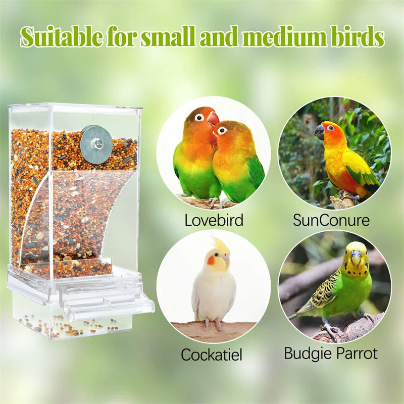 Clear acrylic no-mess bird feeder and waterer suitable for small and medium birds like lovebirds, sunconures, cockatiels, and