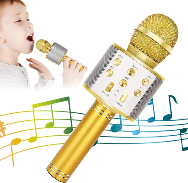 Portable Wireless Bluetooth Karaoke Microphone