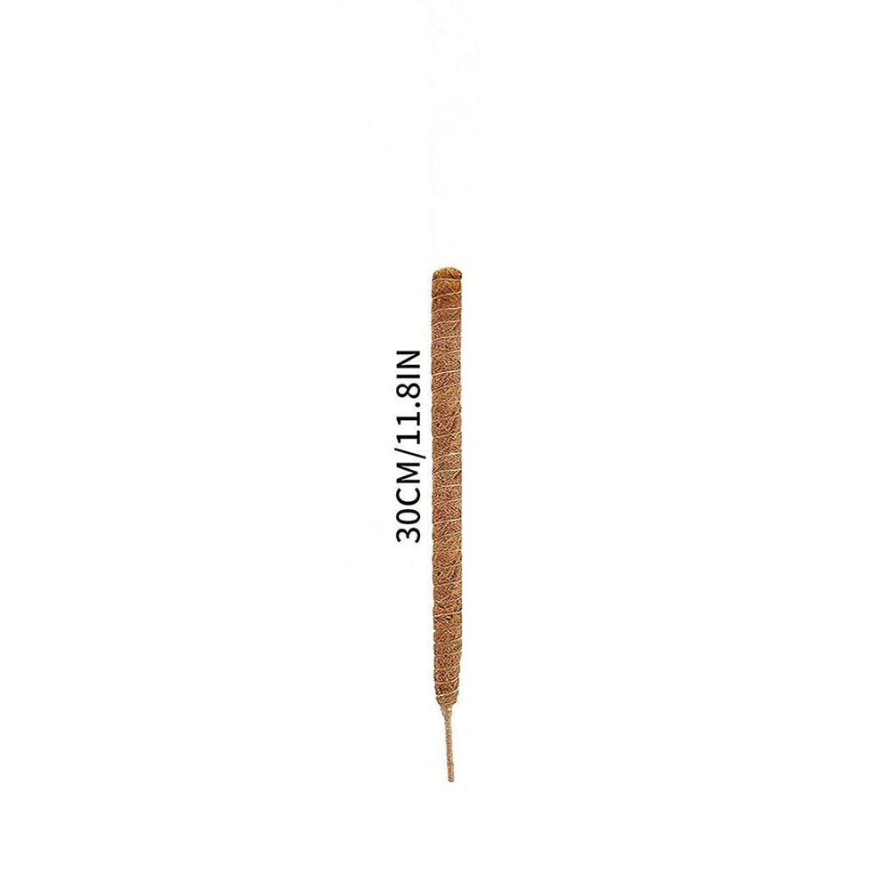 A vertical natural coir moss pole used for climbing plants, measuring 30cm or 11.8 inches.
