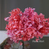 Preserved Hydrangea Flower Heads for Crafts and Home Decor