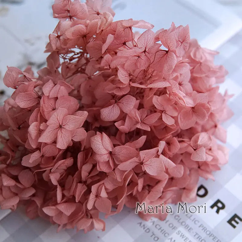 Preserved Hydrangea Flower Heads for Crafts and Home Decor