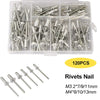 Un récipient en plastique contient un jeu de rivets et de clous M3 et M4 pour le rivetage à aveugle professionnel et robuste.