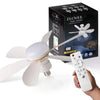 Modern LED Ceiling Fan with Remote Control