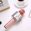 Portable Wireless Bluetooth Karaoke Microphone