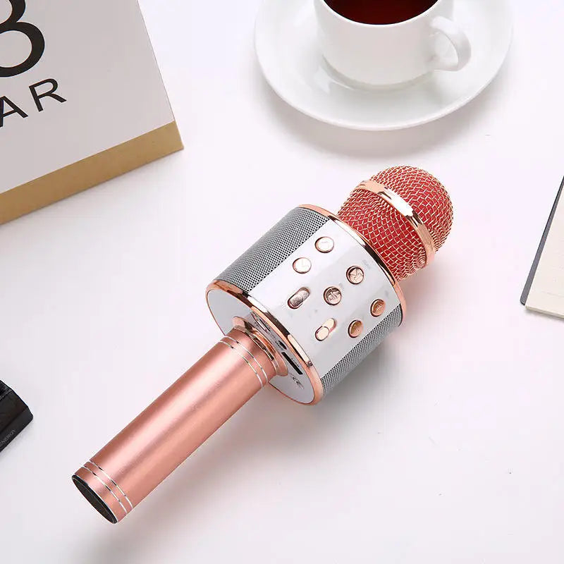 Portable Wireless Bluetooth Karaoke Microphone