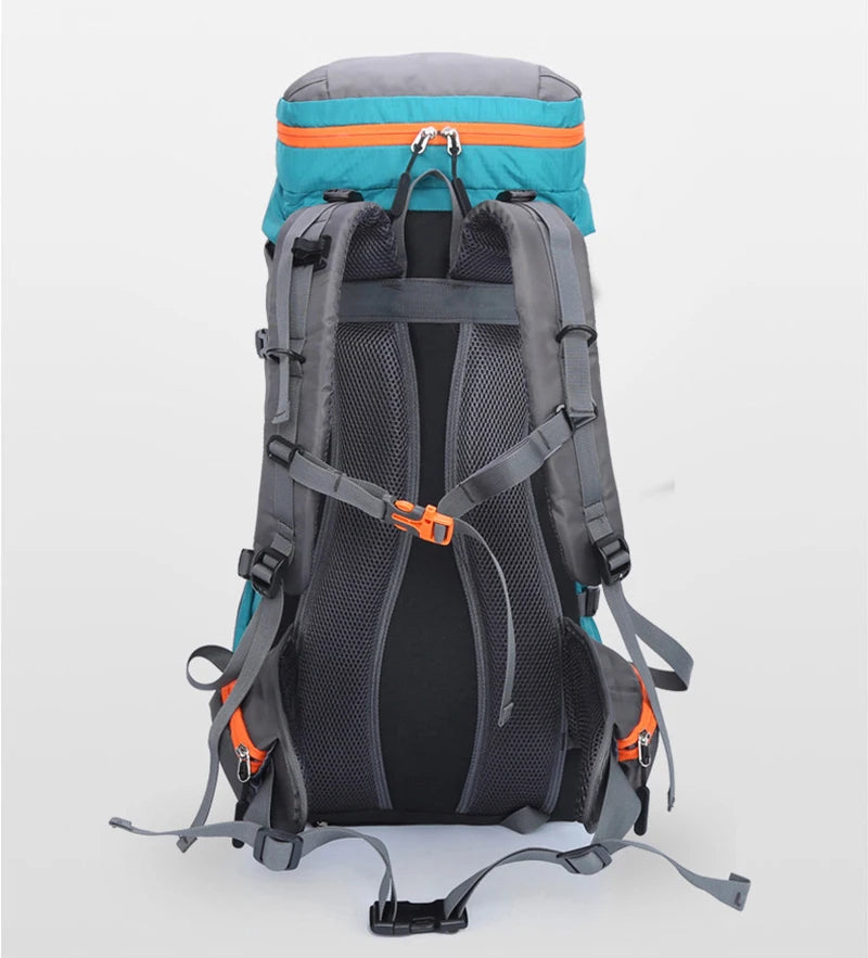 A gray waterproof hiking backpack with an orange accent strap and blue trim, shown from the back.