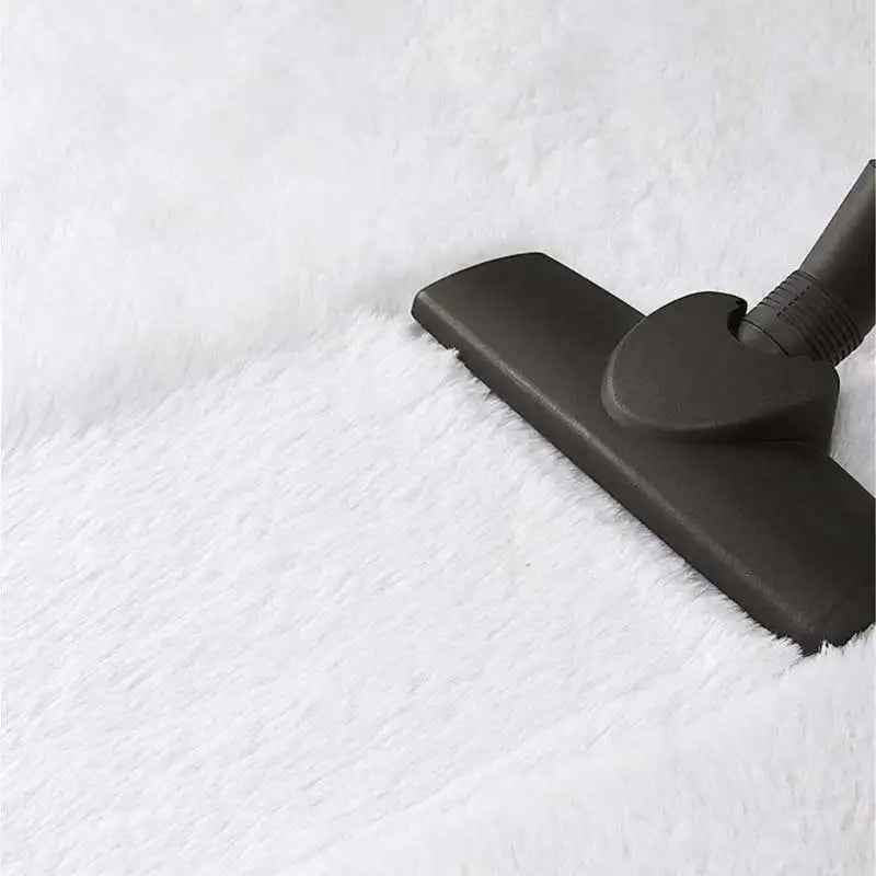 Plush Shaggy Area Rug for Living Room & Bedroom