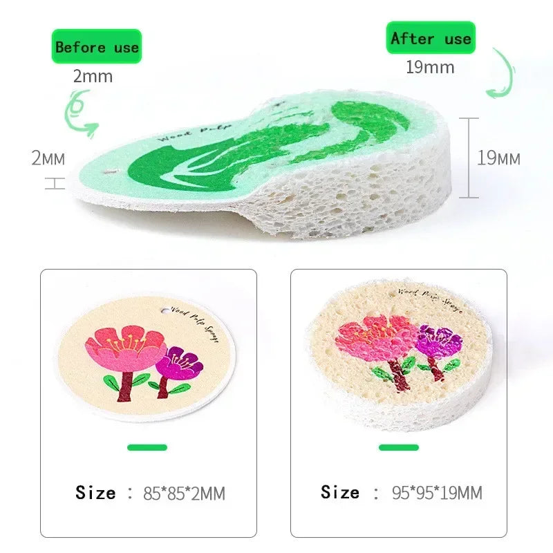 Comparison of wood pulp dish sponges showing size difference before and after use.