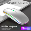 Souris sans fil ergonomique avec éclairage RGB