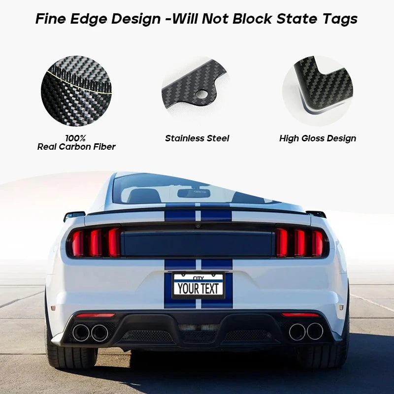 Carbon Fiber License Plate Frame with Anti-Rust Protection