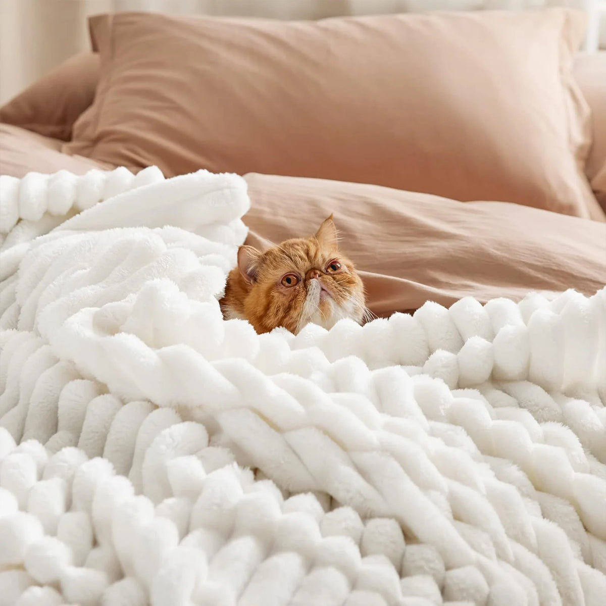 Un gatito atigrado naranja asoma por debajo de una manta blanca esponjosa en una cama beige.