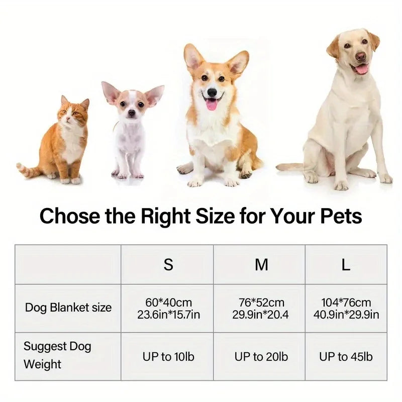 A row of four dogs and cats of different sizes demonstrating appropriate blanket sizing for pets