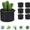 A potted cactus in a black grow bag with handles, surrounded by multiple black fabric grow bags.