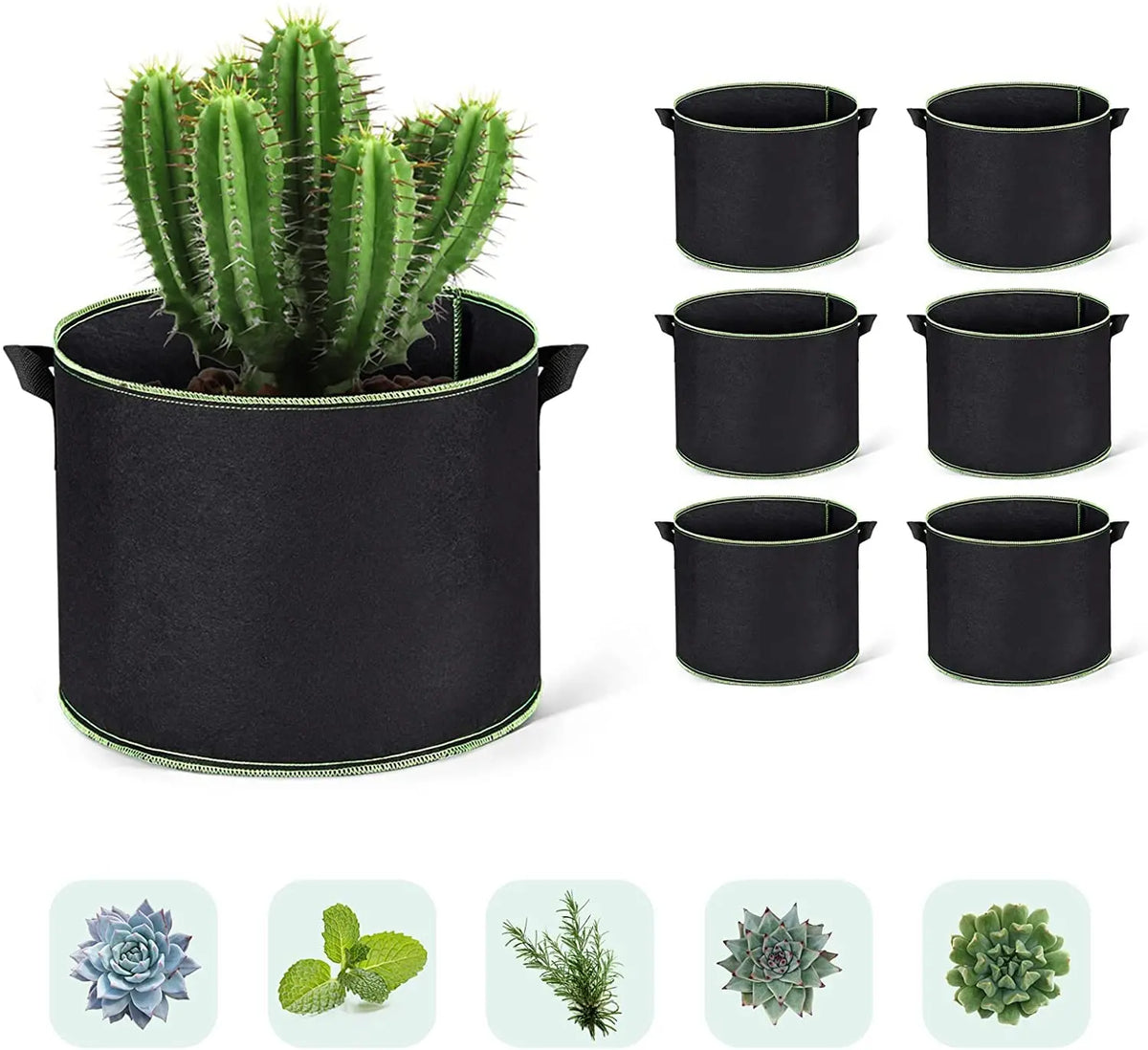 A potted cactus in a black grow bag with handles, surrounded by multiple black fabric grow bags.