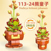 DIY Succulent Plant Building Block Bouquet
