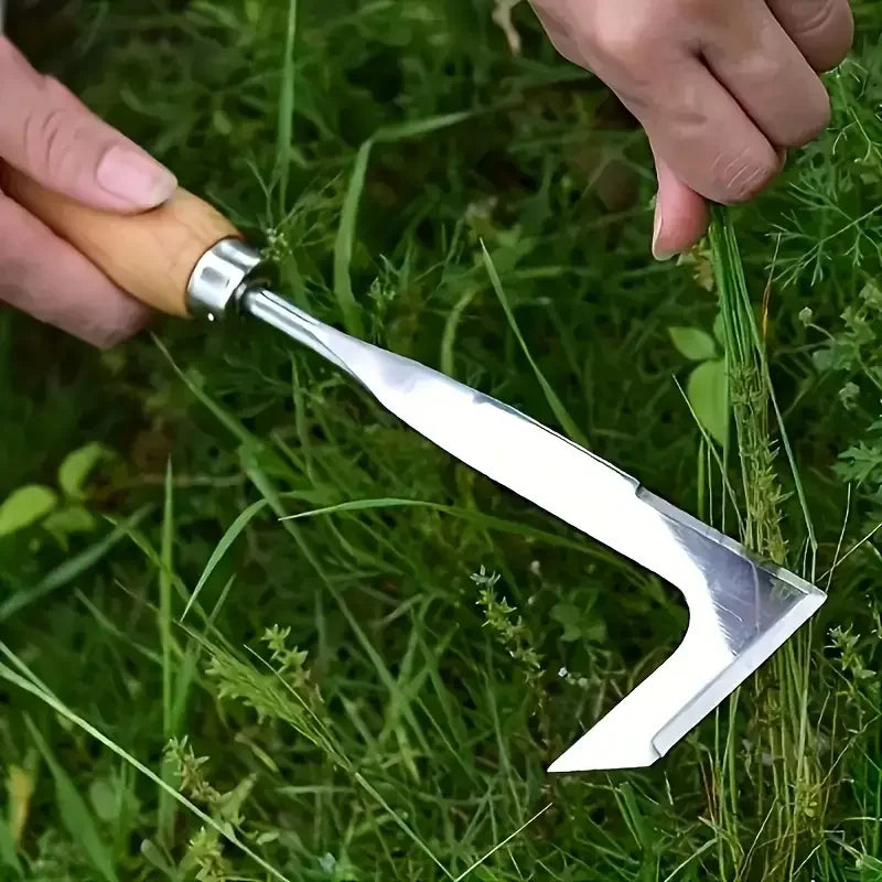 A stainless steel garden weeder with a wooden handle is shown being used in green grass.