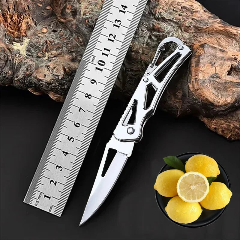 Folding Stainless Steel Fruit Knife with Non-Slip Handle