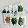 Acrylic Leaf Magnets Set - Fridge Decor